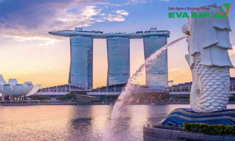 Dịch vụ vận chuyển thú cưng đến Singapore bằng EVA Air